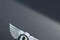 Bentley Continental Supersports anthracite logo coffre debout