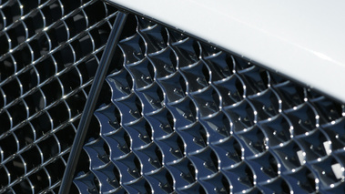 Bentley Continental Supersports blanc logo debout