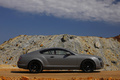 Bentley Continental Supersports gris profil debout