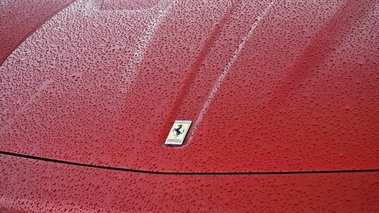 Ferrari 599 GTO bordeaux logo capot