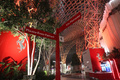 Ferrari World 6