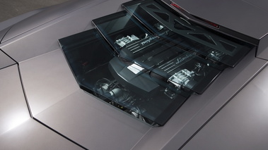 Lamborghini Reventon grise detail capot ar
