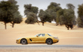 SLS AMG Gold - profil, dynamique