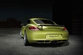 Porsche Cayman R vert face arrière