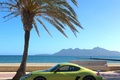 Porsche Cayman R vert profil debout