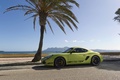 Porsche Cayman R vert profil