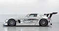 Mercedes SLS AMG GT3 chrome profil