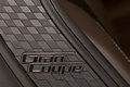 BMW M6 Gran Coupé - teaser - détail, logo Gran Coupe
