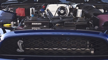 Shelby 1000 - bleue - moteur