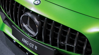 Mondial de l'Automobile de Paris 2016 - Mercedes AMG GTr vert mate calandre