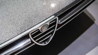 Museo Alfa Romeo - Iguana calandre