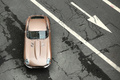 Rétromobile 2016 - Jaguar Type E bronze vue du dessus