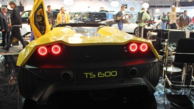TS 600 jaune face arrière porte ouverte