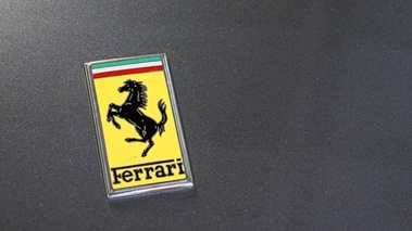 Sellerie Caribex - Ferrari 250 GT Lusso anthracite logo capot