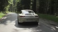Porsche 911 50th anniversary edition