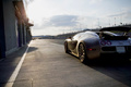 Bugatti Veyron grise 3/4 arrière